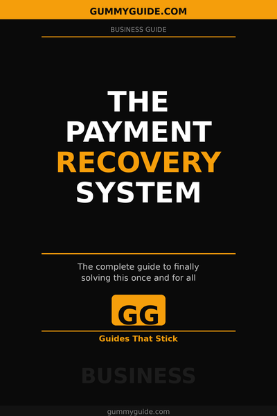The Payment Recovery System